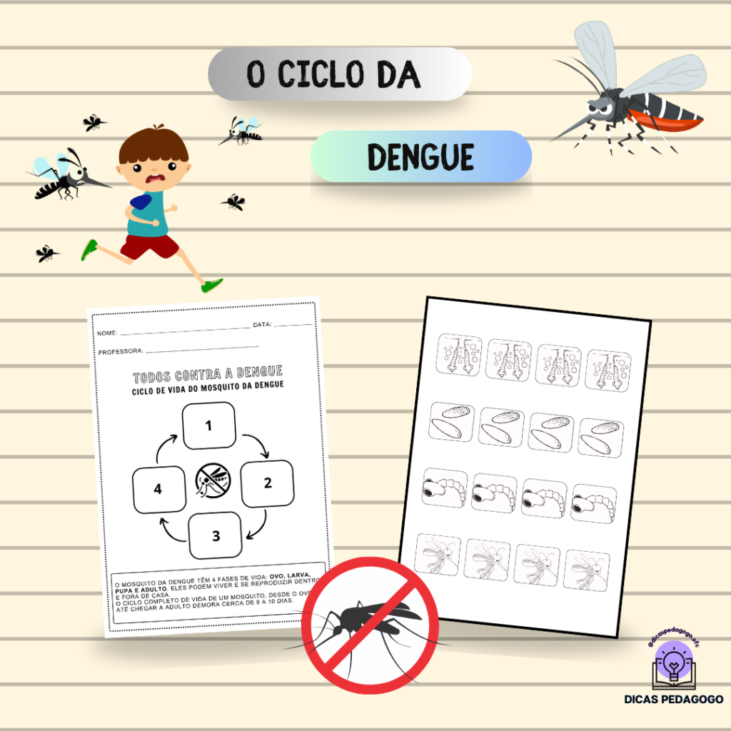 O Ciclo da Dengue - dicaspedagogo.com.br